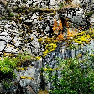 Meet your Posher, Cher